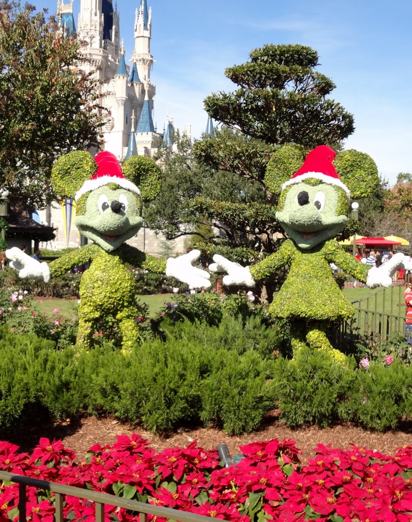 Walt Disney World Mickey and Minnie Mouse