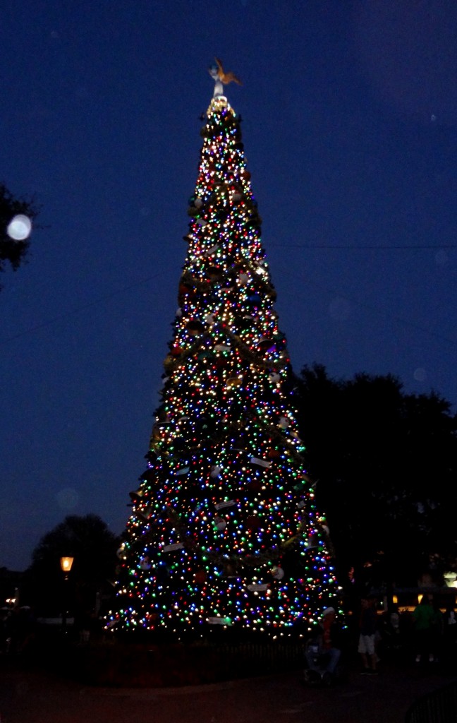 Walt Disney World Christmas Trees - Epcot