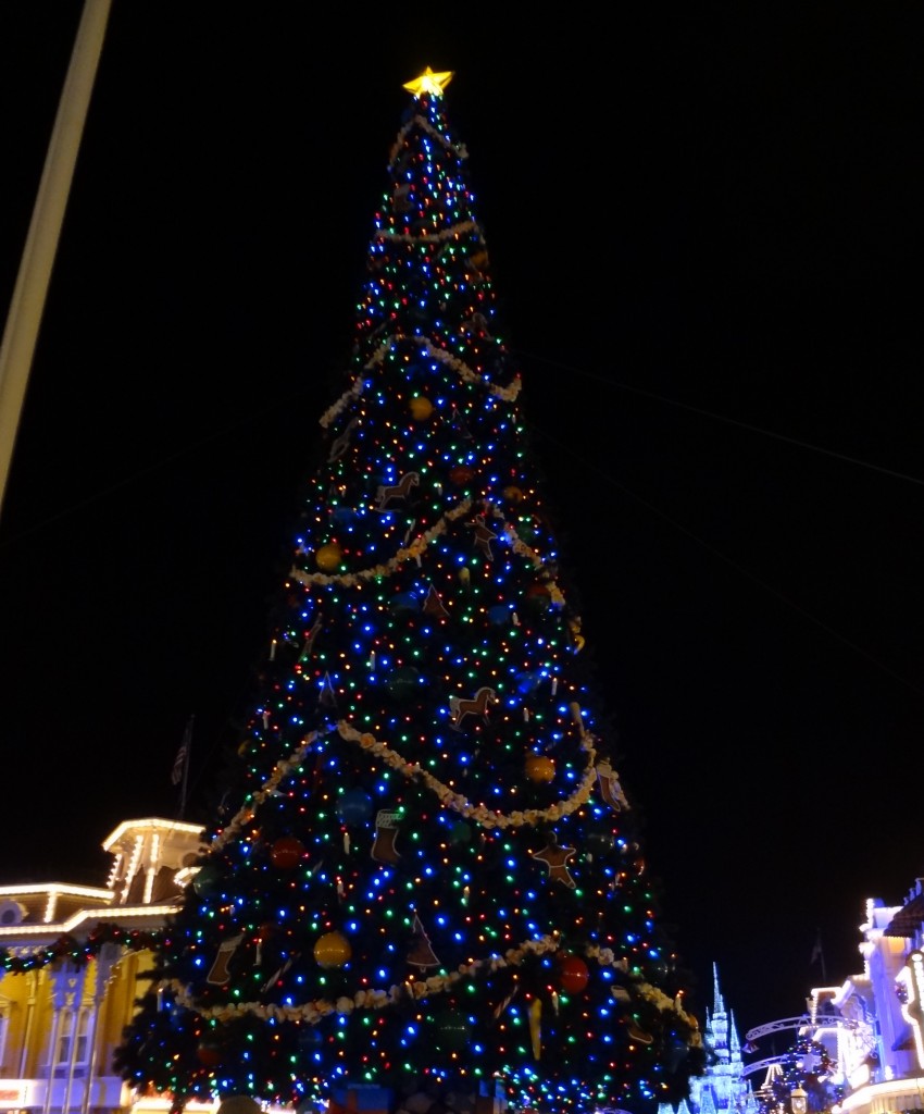 Walt Disney World Christmas Trees - Magic Kingdom