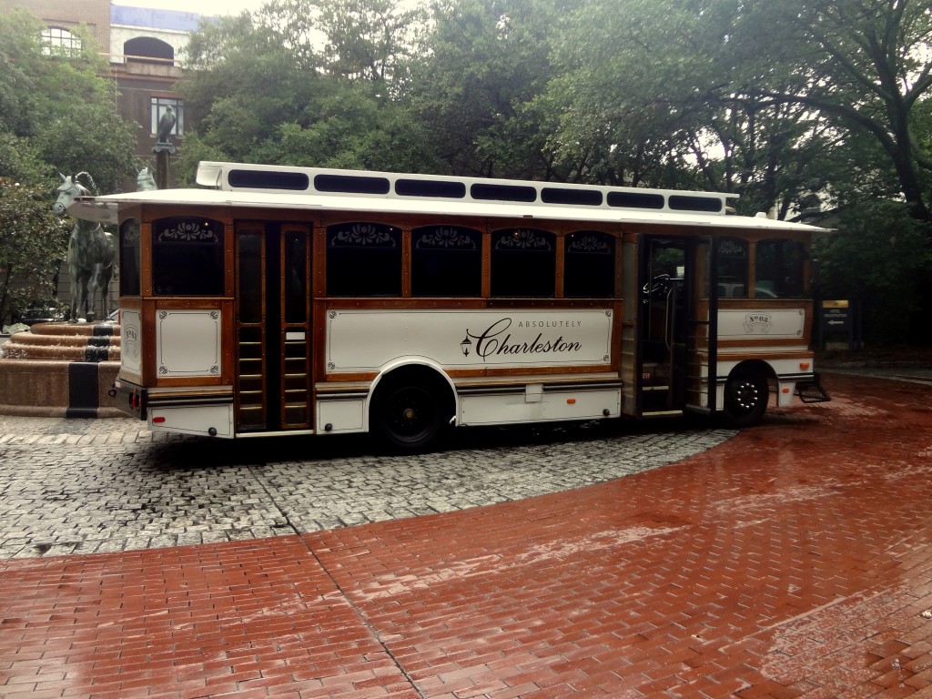 Charleston Trolley | Lady in Violet