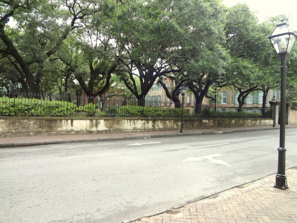 Streets of Charleston | Lady in Violet