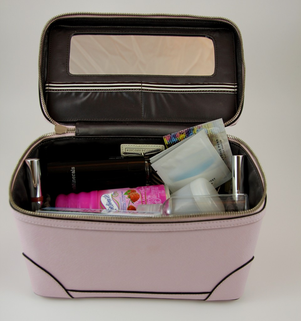 Henri Bendel Train Travel Case | Lady in Violet